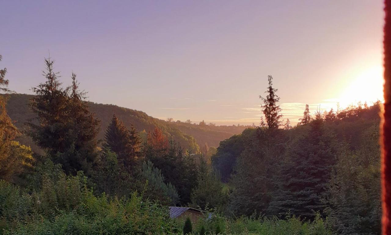 Talblick 2 - Ihr Zuhause : Das Ferienhaus Mitten Im Idyllischen Tal Bad Bibra Exteriör bild