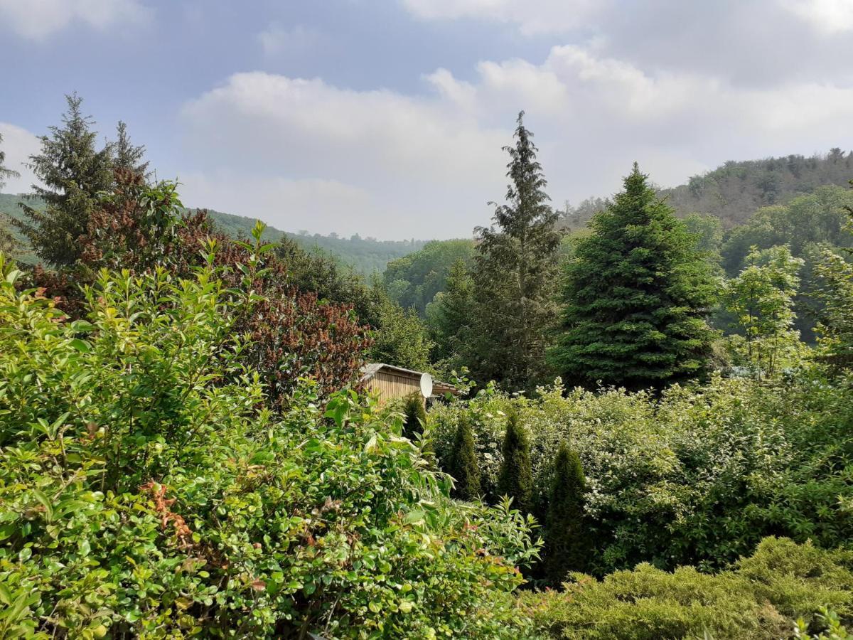 Talblick 2 - Ihr Zuhause : Das Ferienhaus Mitten Im Idyllischen Tal Bad Bibra Exteriör bild